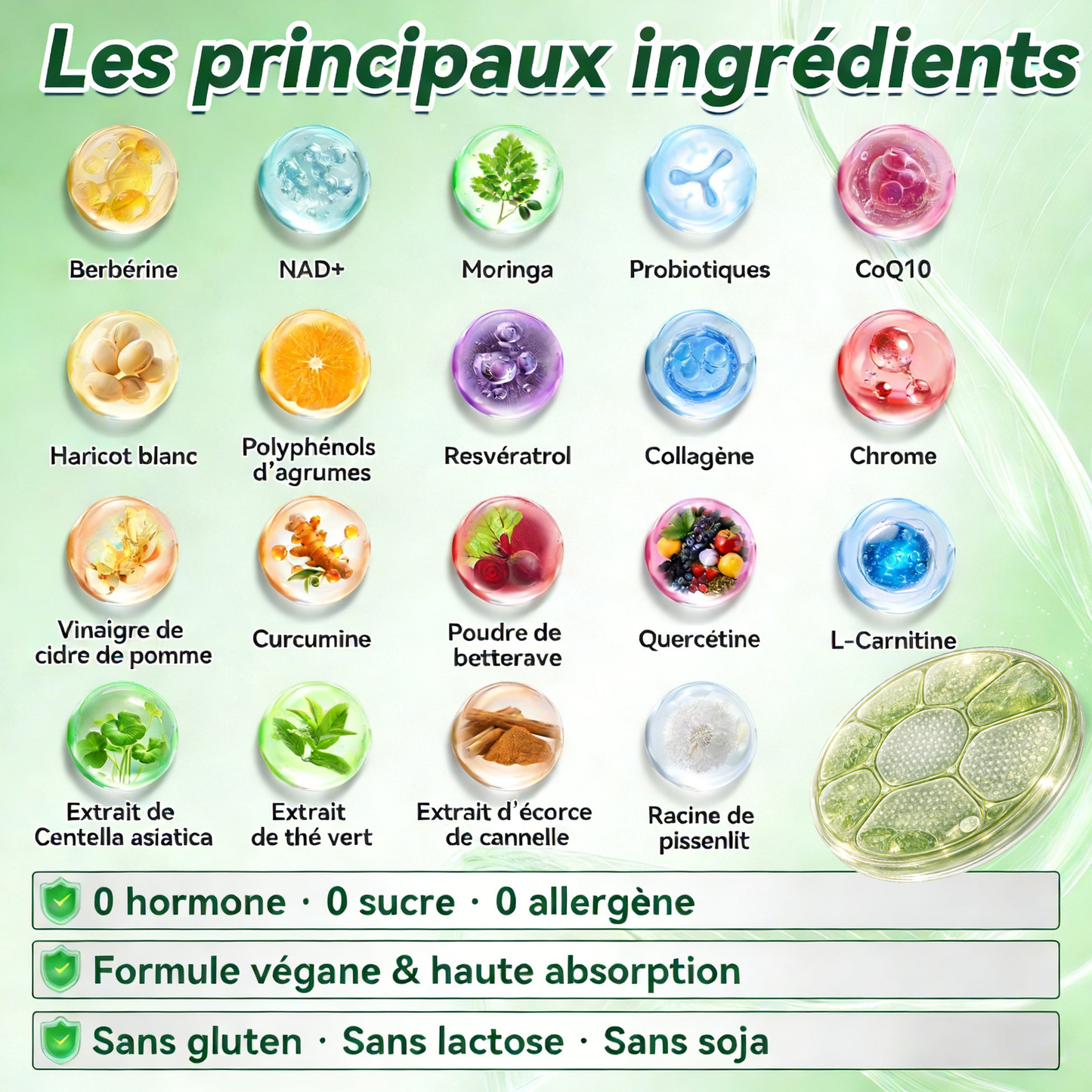 𝐅𝐨𝐫𝐦𝐮𝐥é 𝐩𝐚𝐫 𝐝𝐞𝐬 𝐞𝐱𝐩𝐞𝐫𝐭𝐬 🇫🇷 |🎈 𝐏𝐚𝐭𝐜𝐡 𝐧𝐚𝐧𝐨-𝐦𝐢𝐜𝐫𝐨𝐧𝐞𝐞𝐝𝐥𝐞 𝐦𝐮𝐥𝐭𝐢-𝐳𝐨𝐧𝐞𝐬 𝟏𝟎-𝐞𝐧-𝟏 𝐑𝐔𝐃𝐀𝐔𝐎® 𝐚𝐯𝐞𝐜 𝐬𝐲𝐬𝐭è𝐦𝐞 𝐝𝐞 𝐝𝐢𝐟𝐟𝐮𝐬𝐢𝐨𝐧 à 𝐛𝐚𝐬𝐞 𝐝𝐞 𝐜𝐞𝐥𝐥𝐮𝐥𝐞𝐬 𝐯é𝐠é𝐭𝐚𝐥𝐞𝐬 (𝐞𝐟𝐟𝐞𝐭𝐬 𝐯𝐢𝐬𝐢𝐛𝐥𝐞𝐬 𝐞𝐧 𝟕 𝐣𝐨𝐮𝐫𝐬)